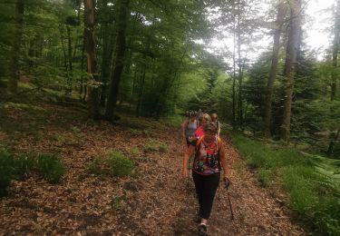 Trail Walking Renauvoid - Pic nique  - Photo