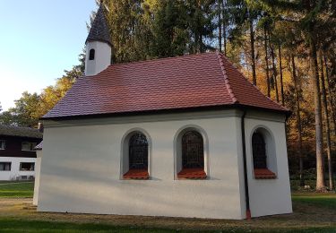 Percorso A piedi Ilmmünster - Reichertshausener Wege (4 / rot-mittel) - Photo