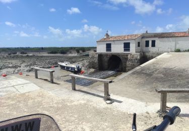 Percorso Bicicletta elettrica Saint-Martin-de-Ré - tour de vélo sur l'île de Ré  - Photo