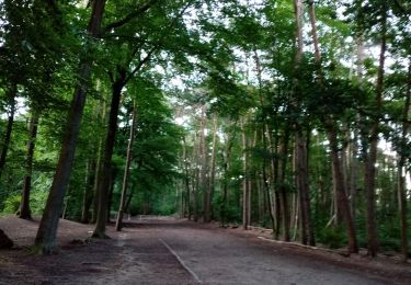 Randonnée Marche nordique Belœil - Mielikki Stambruges  - Photo