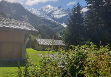 Tour Wandern Saint-Gervais-les-Bains - Passerelle de Bionnassay - Photo