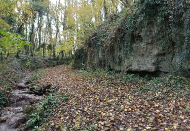 Tocht Stappen Guérard - Guérard /Celle sur Morin - Photo