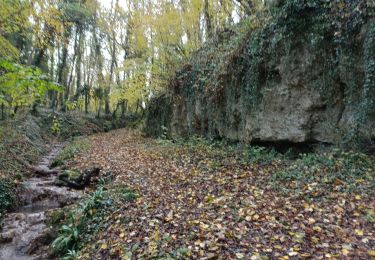 Excursión Senderismo Guérard - Guérard /Celle sur Morin - Photo