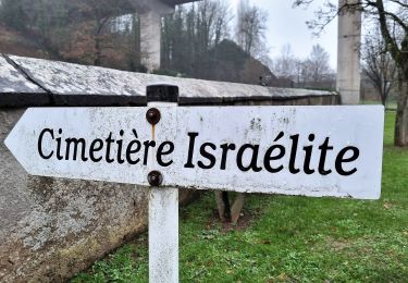 Tour Zu Fuß Ettelbrück - Ettelbruck Sentier F - Photo