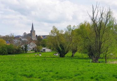 Excursión Senderismo Sombreffe - Marche Adeps à Tongrinne - Sombreffe - Photo