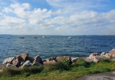 Randonnée Vélo électrique Crozon - Le Fret et retour - Photo