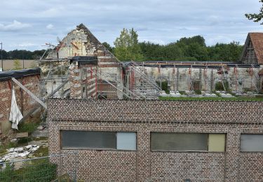 Tocht Te voet Oudsbergen - Oudsberg Blauwe ruit - Photo
