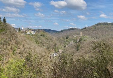 Excursión Senderismo Manderscheid - Manderscheid et Mosenberg (Eifel) - Photo