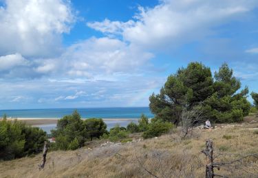 Trail Walking Leucate - leucate-plateau_T - Photo