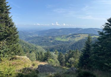 Trail Walking Saint-Maurice-sur-Moselle - Lac des perches - Photo