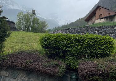 Tour Wandern Vaujany - La condamine sous la pluie  - Photo