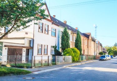 Trail On foot Svitavy - NS Prameny Svitavy - Photo