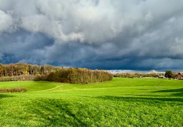 Tour Wandern Overijse - N-D de Bonne Odeur   (autour de la Chapelle) - Photo