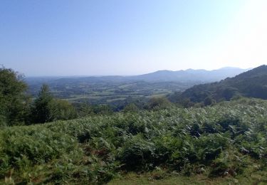 Trail Walking Sare - Les palombières - Photo