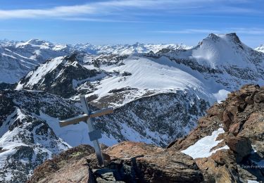 Tocht Ski randonnée Bonneval-sur-Arc - Bessans Ski Rando - Photo