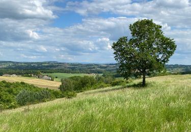 Trail sport Montpezat-de-Quercy - St Laurent Castelnau - Photo