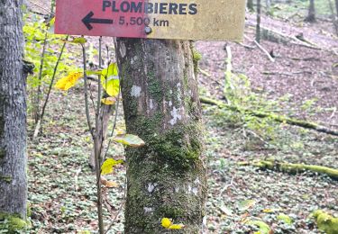 Percorso Marcia Plombières-lès-Dijon - Rando boucle Plombières Velars - Photo