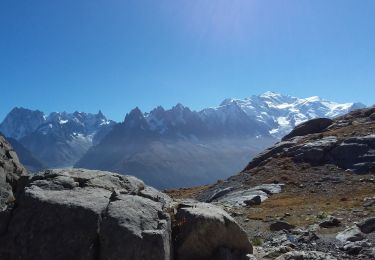 Tour Wandern Chamonix-Mont-Blanc - Les aiguilles Rouges Chamonix Argentière  - Photo