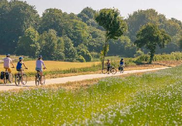 Randonnée Marche Hautot-sur-Mer - La route du lin - Photo