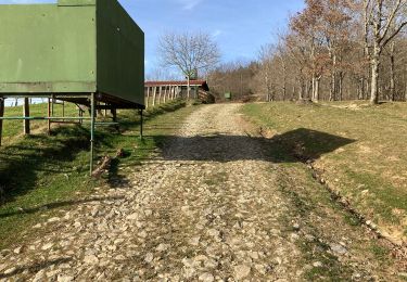 Percorso Marcia Urrugne - Ibardin Ziburumendi, Yasola forêt de Bera Gartzin - Photo