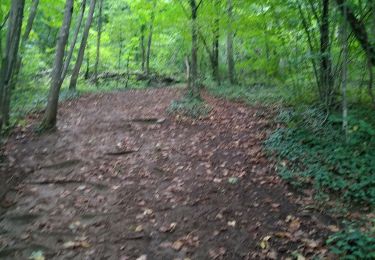 Trail Mountain bike Monnetier-Mornex - ETREMBIERES PARK ORGEBET MONNETIER - Photo