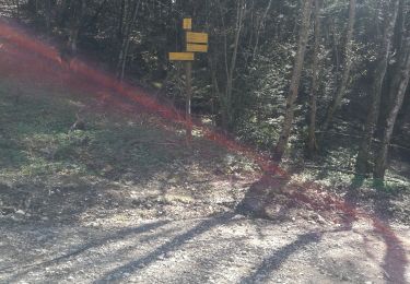 Randonnée Marche Trévignin - la boucle du Mont Revard par le golet de la pierre et la crémaillère  - Photo