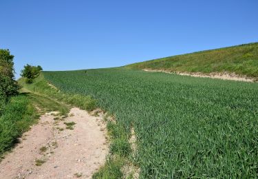 Percorso A piedi Evaň - [Z] Poplze - Horka - Photo