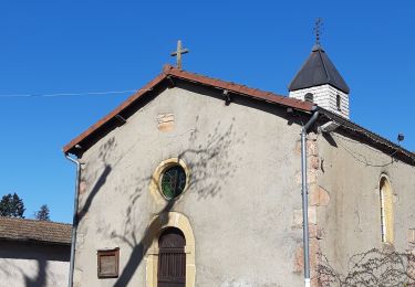 Randonnée Marche Belmont-de-la-Loire - st claude - Photo