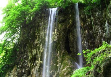 Tour Zu Fuß  - Slatinski Drenovac - planinarski dom Jankovac - Photo