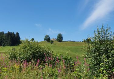 Excursión Senderismo Les Rousses - Les Rousses - Belvédère des Dappes - Photo