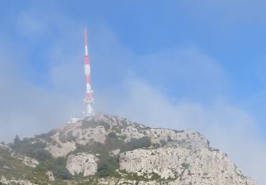 Randonnée Marche Montpeyroux - Saint-Baudille  - Photo