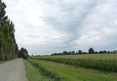 Excursión A pie La Chapelle-des-Fougeretz - Les 5 Rottes - Photo