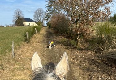 Trail Horseback riding Neufchâteau - Bois d’Ospot - Photo