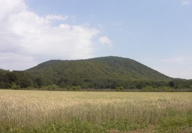 Percorso A piedi Saint-Ours - Le Puy de Louchadiere - Photo