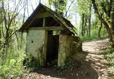 Tocht Stappen Saint-Jean-d'Arvey - Remontée de la Leysse-2021-04-22 - Photo