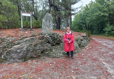 Excursión Senderismo Cassagnas - Saint Étienne Vallée Française - Photo