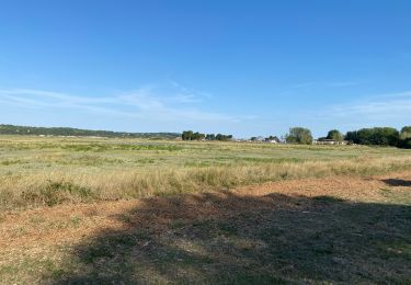 Tour Wandern Le Touquet-Paris-Plage - Le Touquet Paris Plage - Photo
