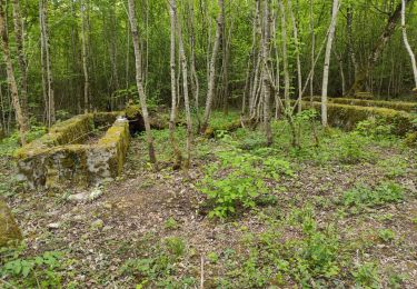 Tour Wandern Villers-lès-Nancy - Bv - Photo