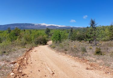 Tour Mountainbike Mormoiron - La Tête à Jeannot !!!! - Photo