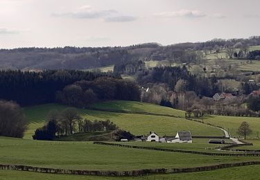 Tocht Stappen Theux - hodbomont . vieux cortil . jevoumont . hodbomont  - Photo