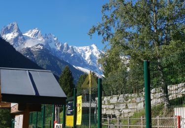 Tour Wandern Chamonix-Mont-Blanc - lac blanc - Photo