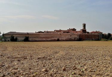 Tour Zu Fuß Galliate - Sentiero Novara tappa 10 - Photo