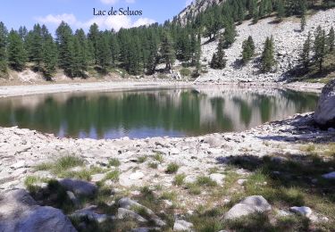 Tocht Stappen Saint-Martin-Vésubie -  Lac Scluos     ( Boréon - Col de Salèse)   - Photo