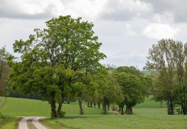 Trail On foot Oederan - Glockenpfad zur Kirche Frankenstein - Photo