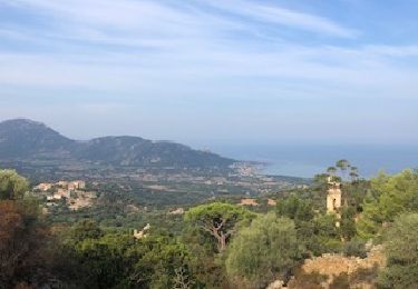 Excursión Senderismo Corbara - Tour du Monte Sant’Anghjulu - Photo