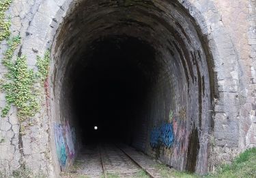 Randonnée Marche Cabrerets - Boucle de Cabrerets - Photo