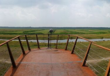 Percorso A piedi Heusden - Vlijmens Ven - Photo