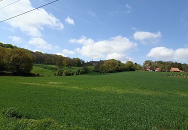 Tocht Stappen Steenvoorde - Départ Steenvoorde arrivée CampingLa ferme des Saules - Photo