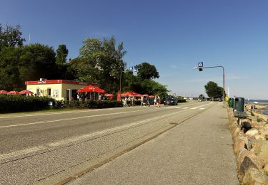 Percorso A piedi  - Sønderhavskovene, gul rute - Photo