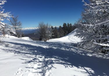 Tocht Sneeuwschoenen Saint-Étienne-les-Orgues - Crête les Cavalets - Photo